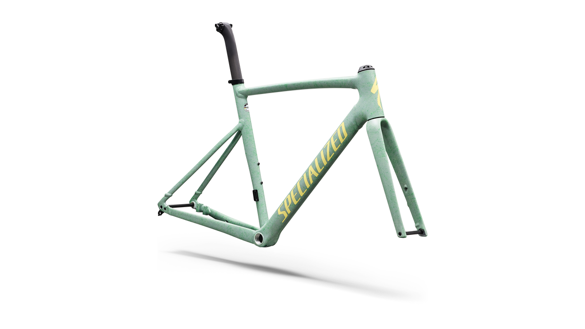 Specialized Allez Sprint Frameset - D'Aluisio Smartweld Alloy - Agave Grey / Kelly Green / Sunset Yellow