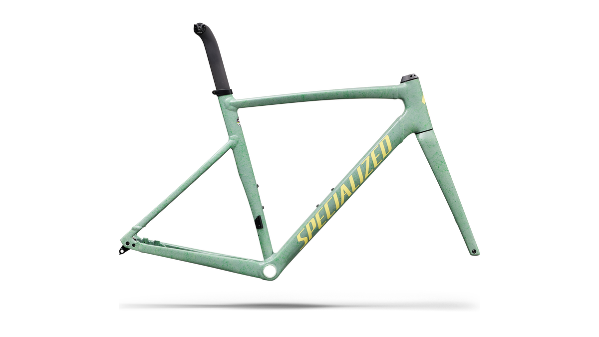 Specialized Allez Sprint Frameset - D'Aluisio Smartweld Alloy - Agave Grey / Kelly Green / Sunset Yellow