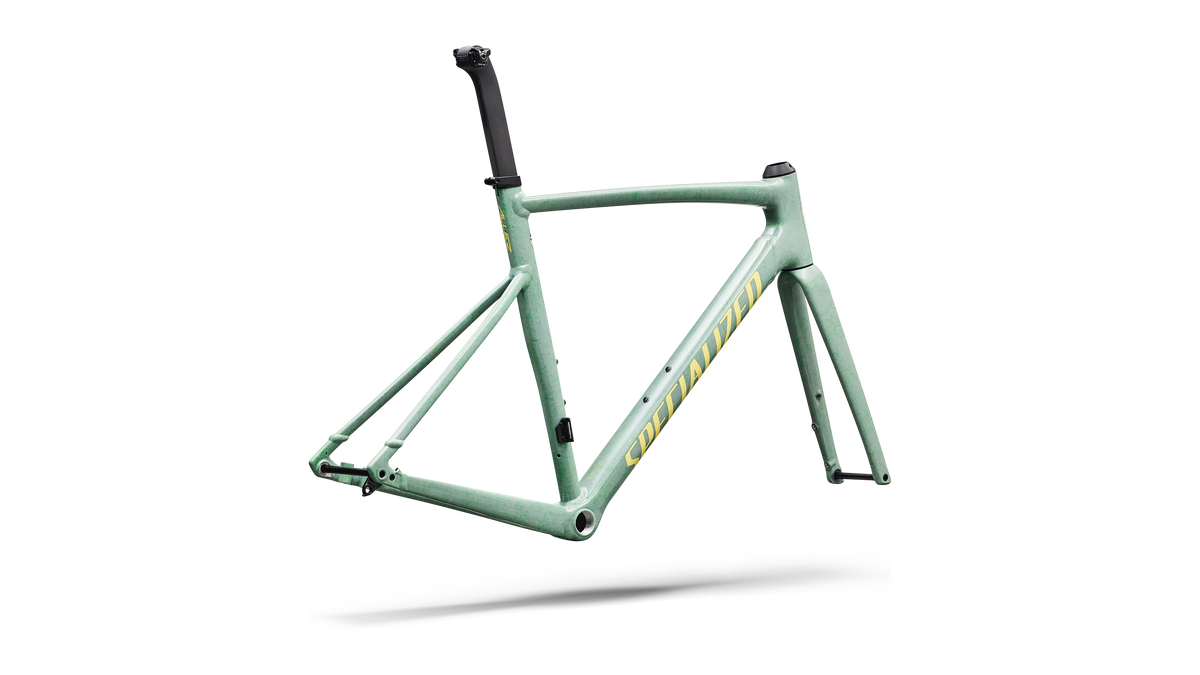 Specialized Allez Sprint Frameset - D'Aluisio Smartweld Alloy - Agave Grey / Kelly Green / Sunset Yellow